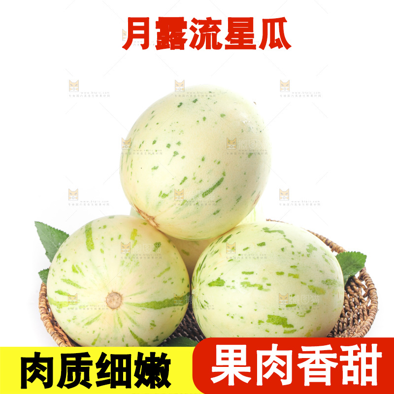 白底上的月露流星蜜瓜