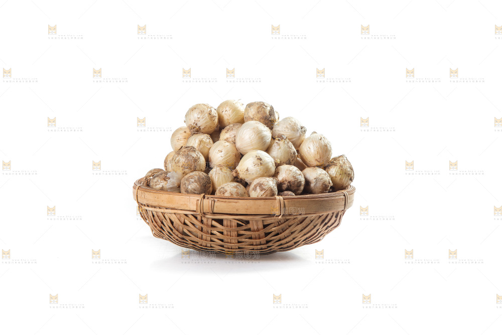 白底上的藠头籽