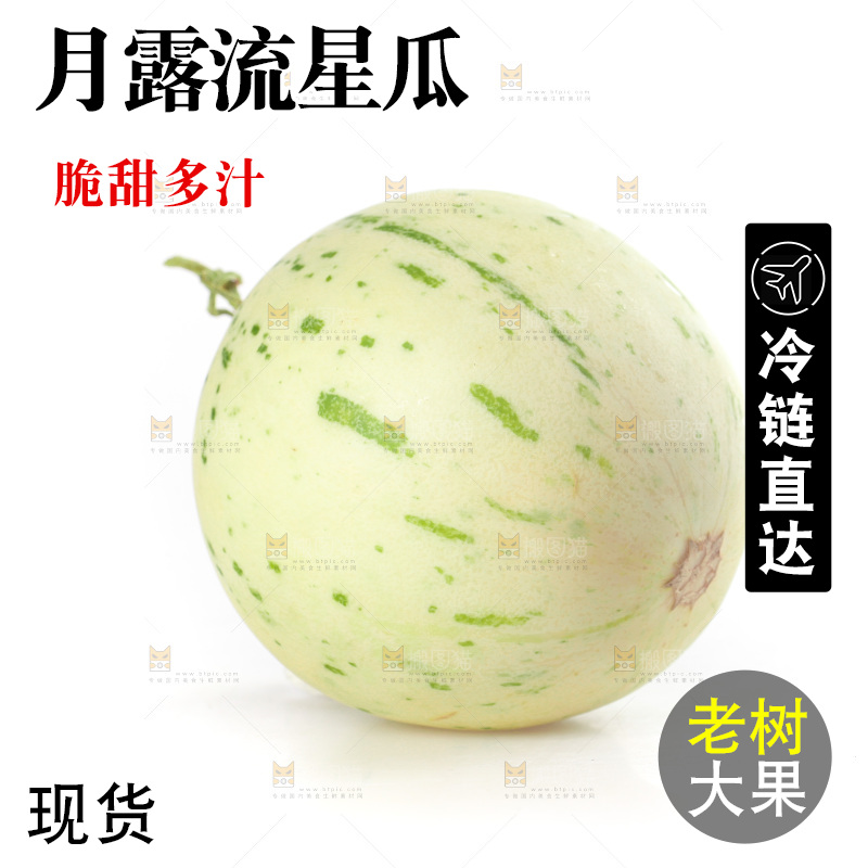 白底上的月露流星蜜瓜