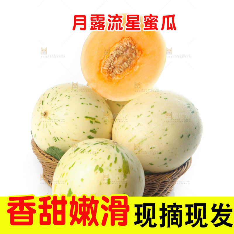 白底上的月露流星蜜瓜