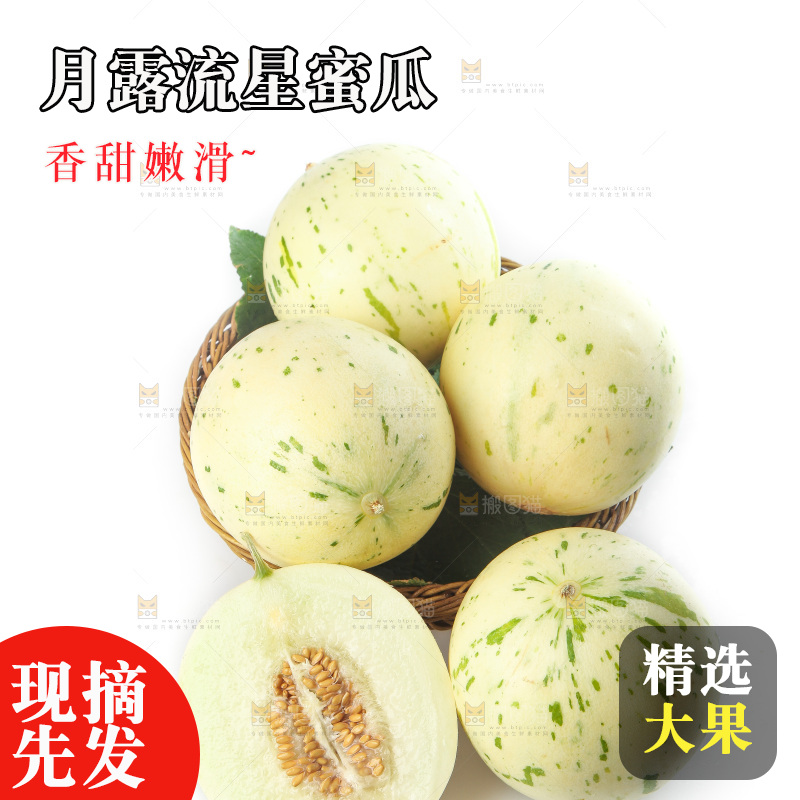 白底上的月露流星蜜瓜