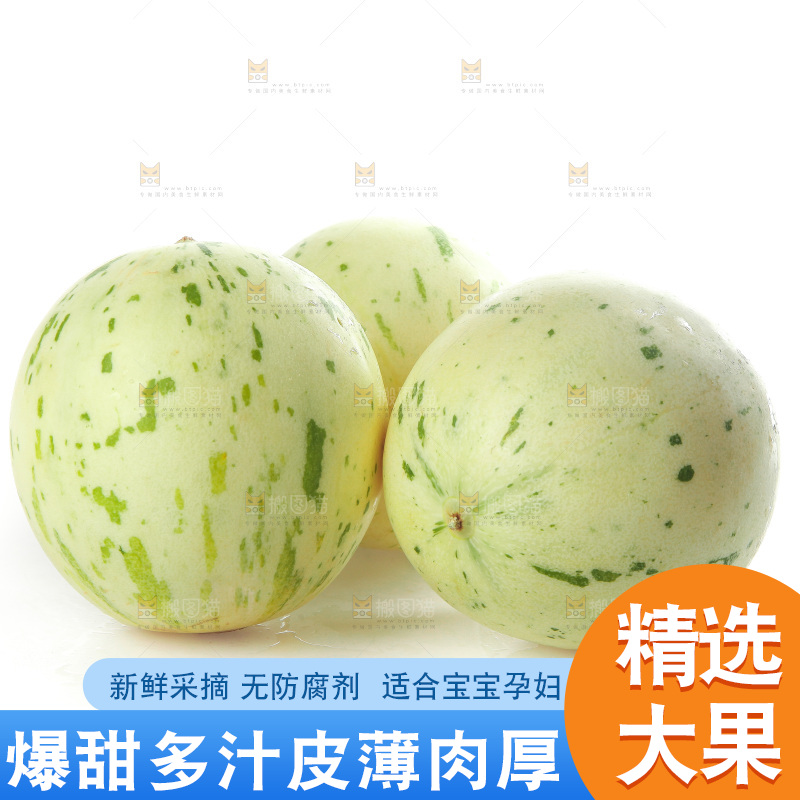 白底上的月露流星蜜瓜