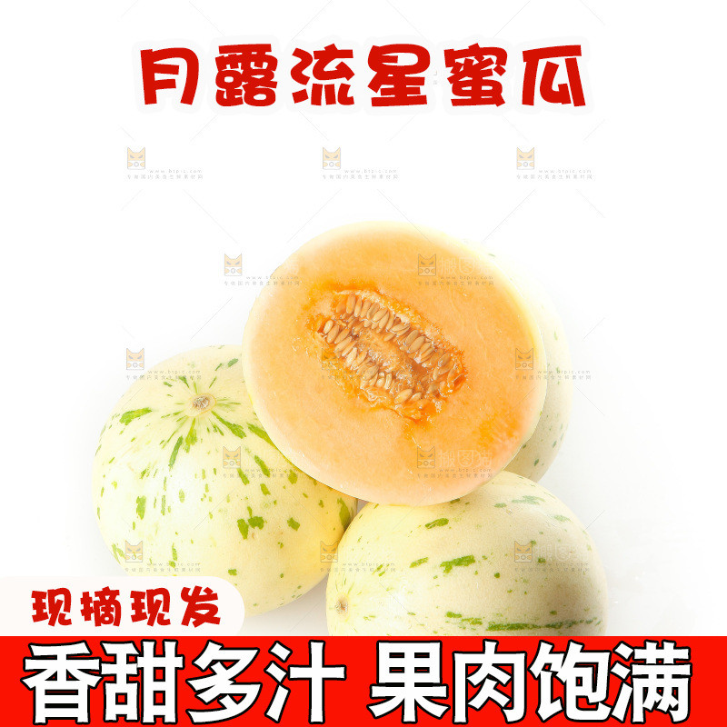 白底上的月露流星蜜瓜