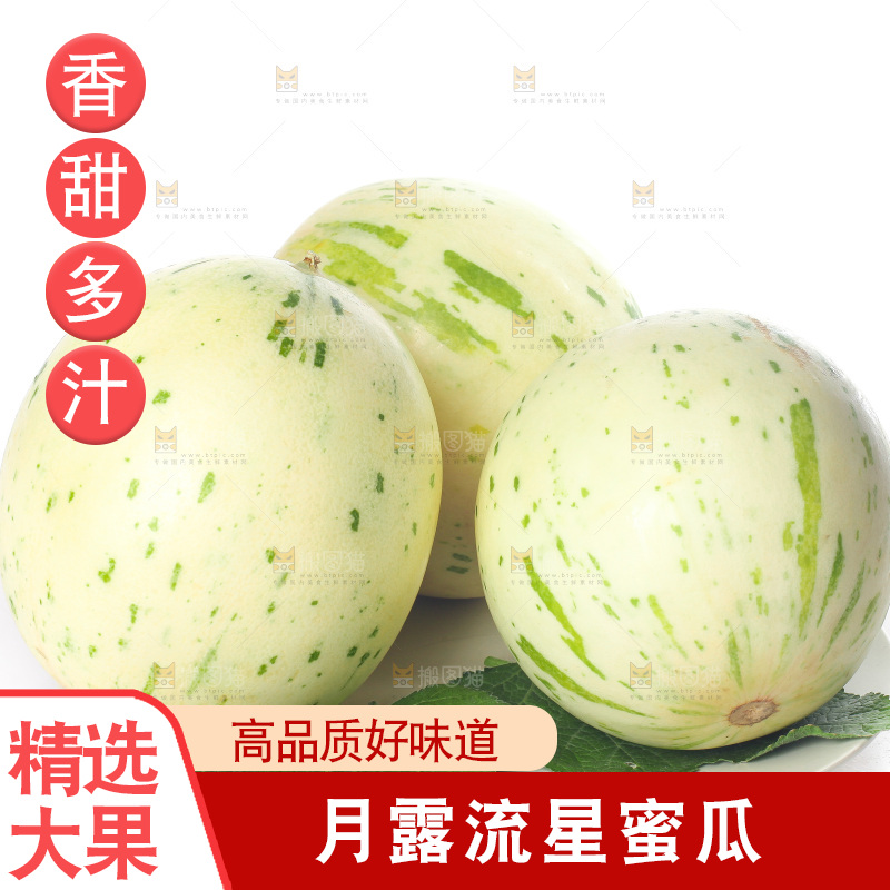 白底上的月露流星蜜瓜