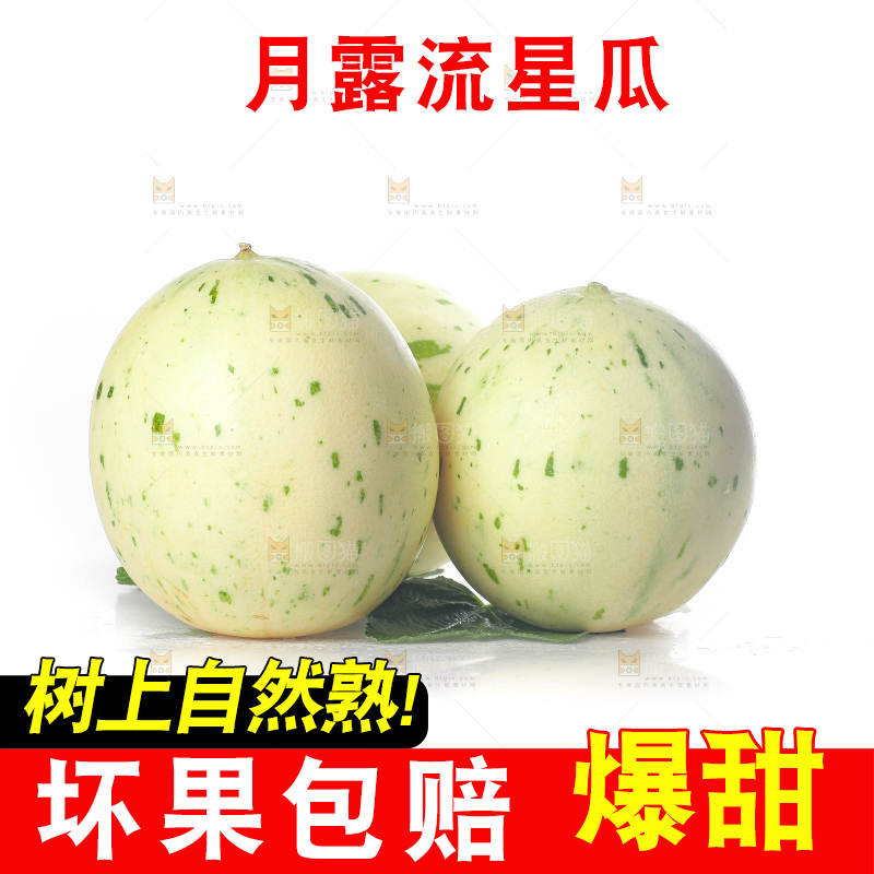 白底上的月露流星蜜瓜