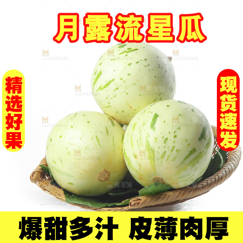 白底上的月露流星蜜瓜