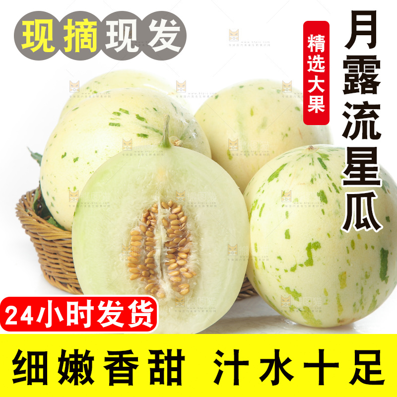 白底上的月露流星蜜瓜