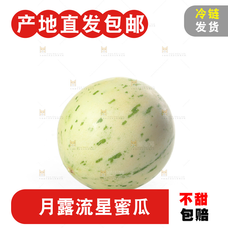 白底上的月露流星蜜瓜