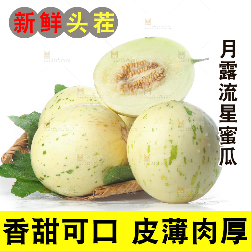 白底上的月露流星蜜瓜