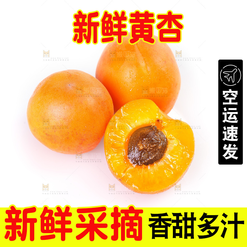白底上的大黄杏