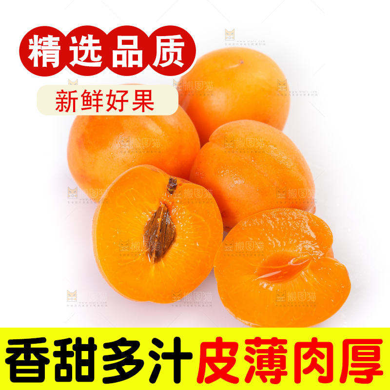 白底上的大黄杏
