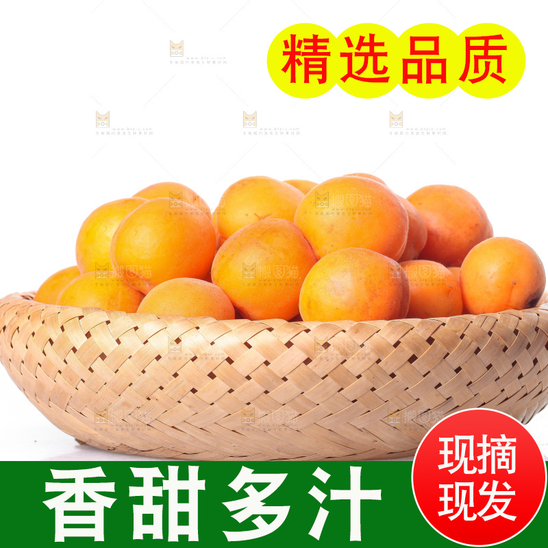 白底上的大黄杏