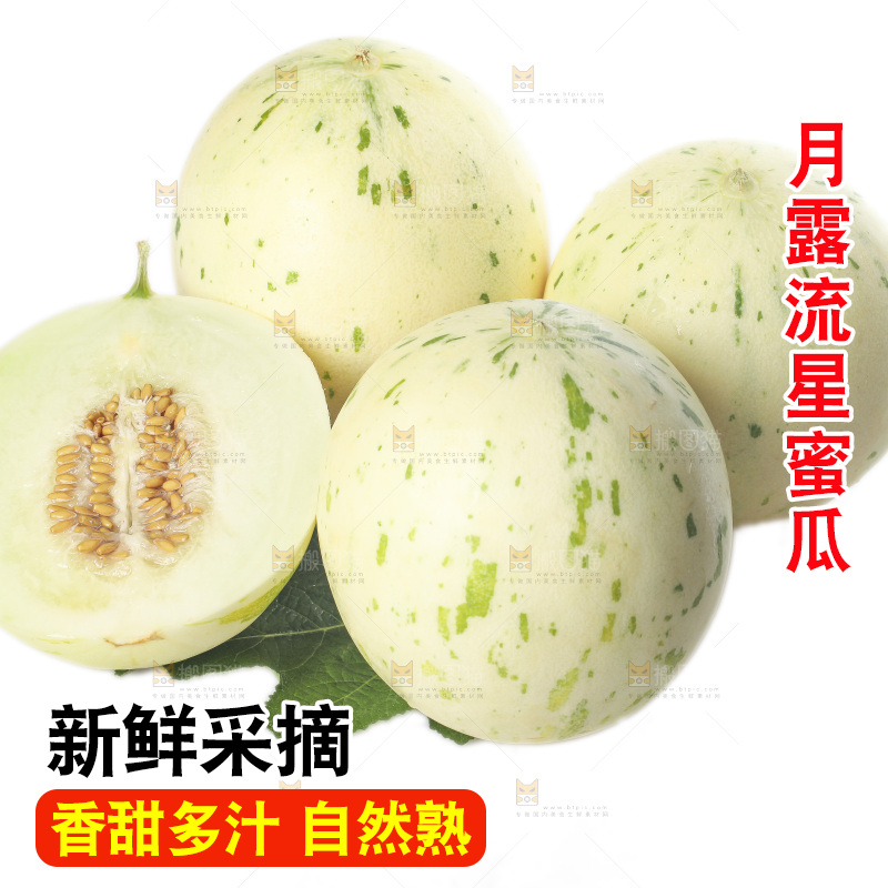 白底上的月露流星蜜瓜