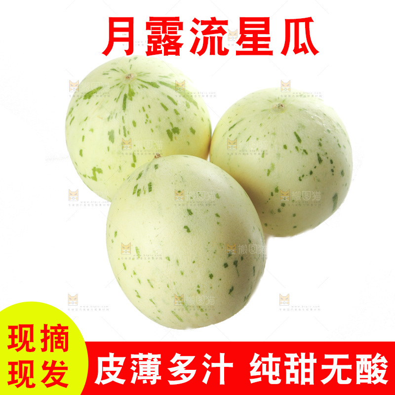 白底上的月露流星蜜瓜