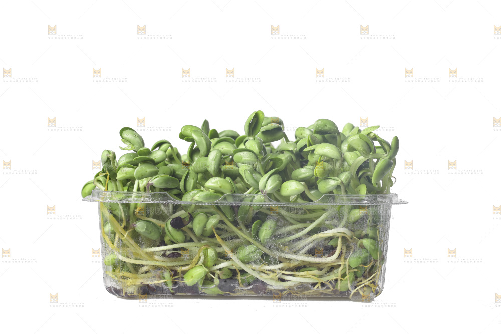 白底上的黑豆芽