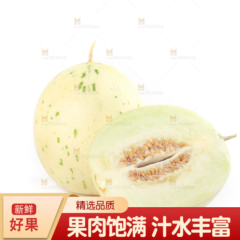 白底上的月露流星蜜瓜