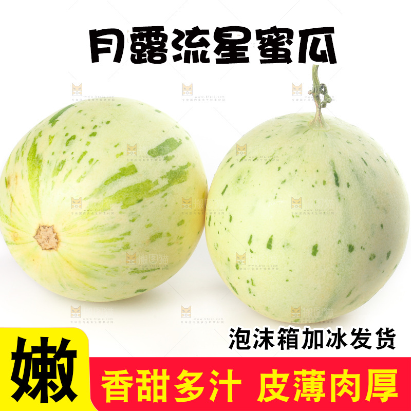 白底上的月露流星蜜瓜