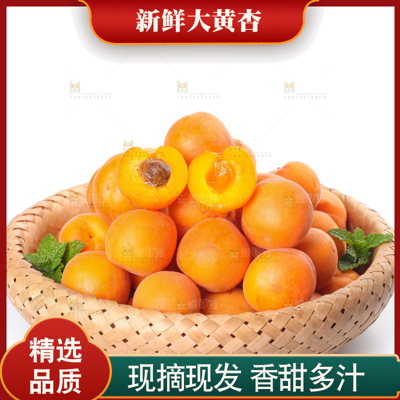 白底上的大黄杏