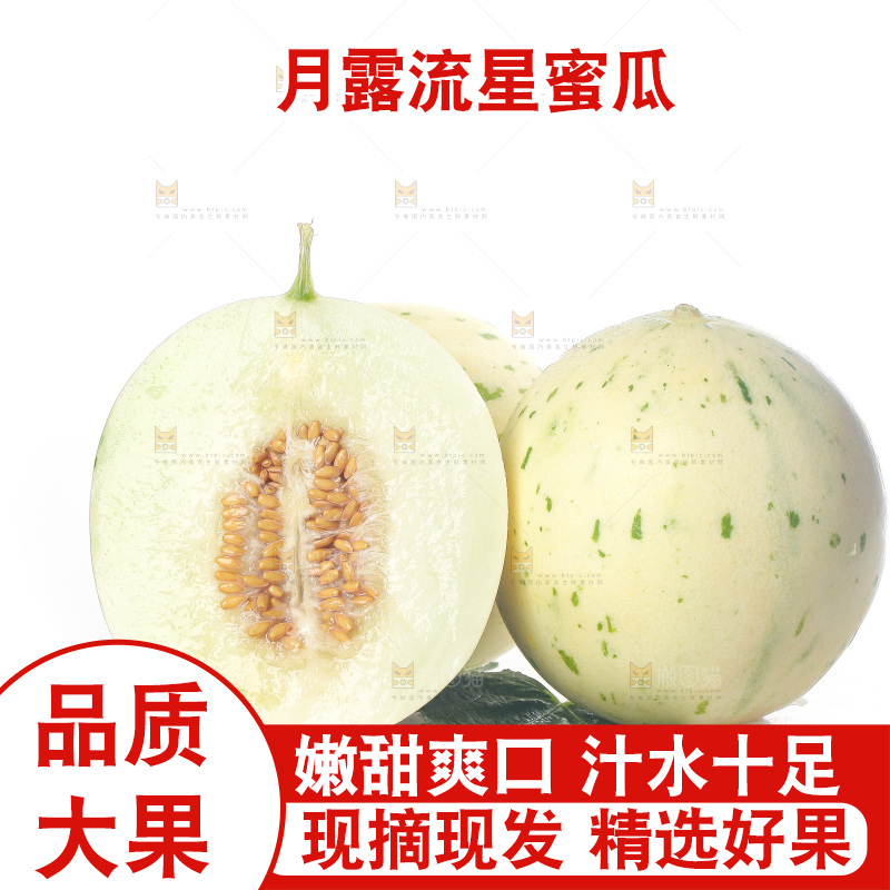 白底上的月露流星蜜瓜