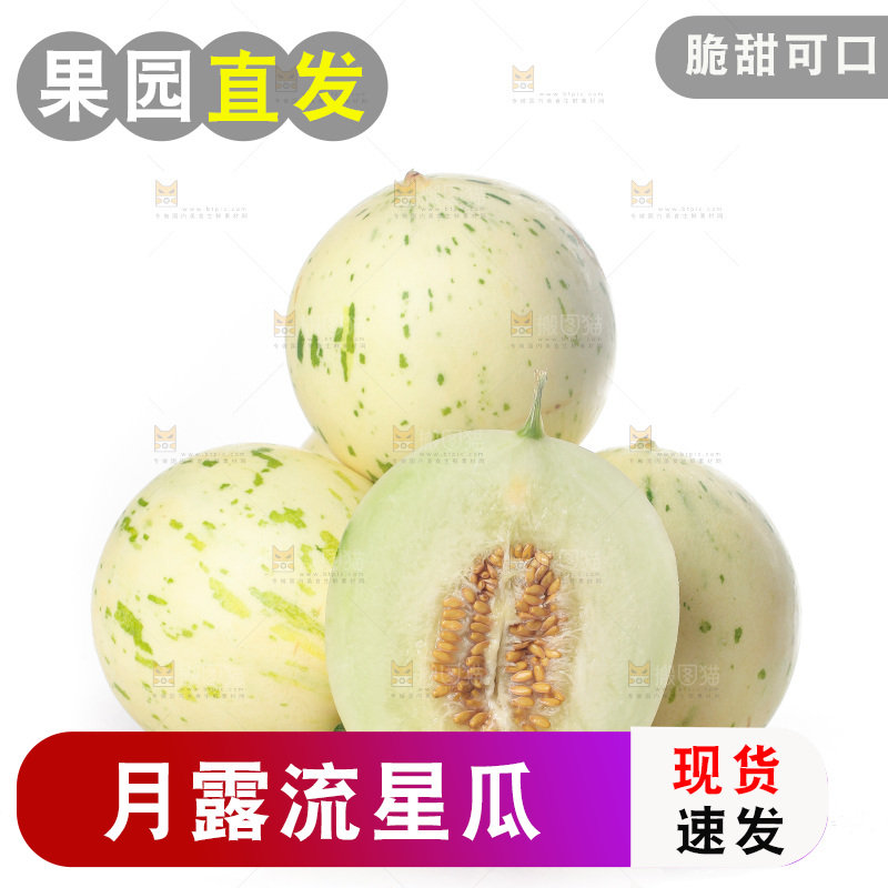 白底上的月露流星蜜瓜