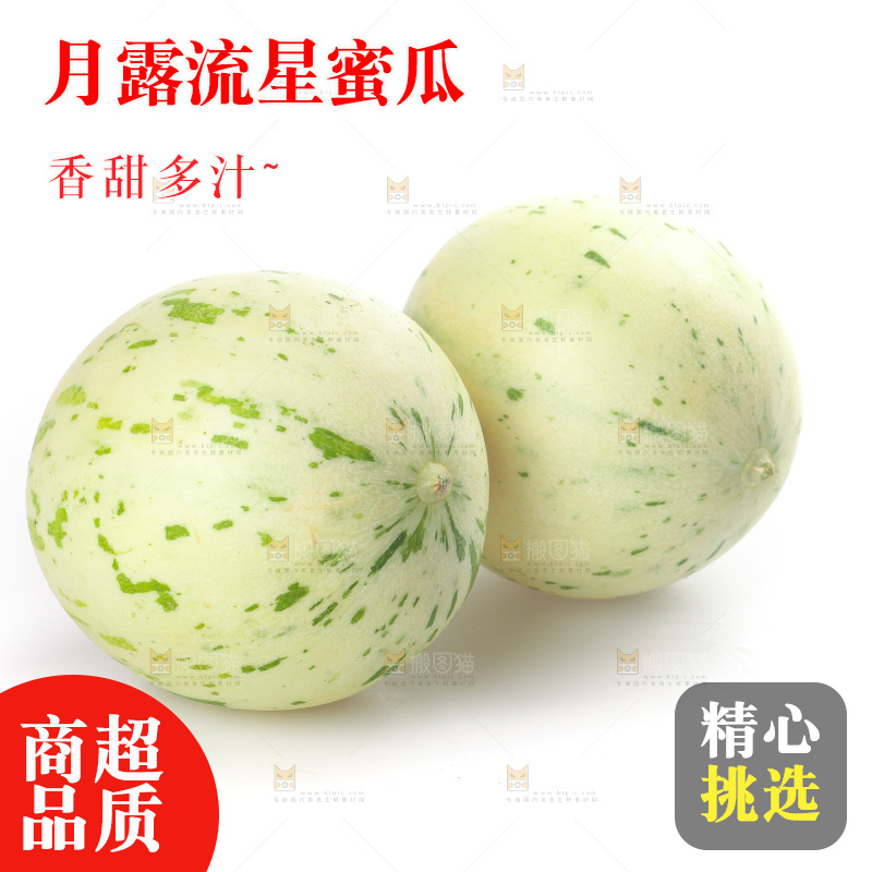 白底上的月露流星蜜瓜