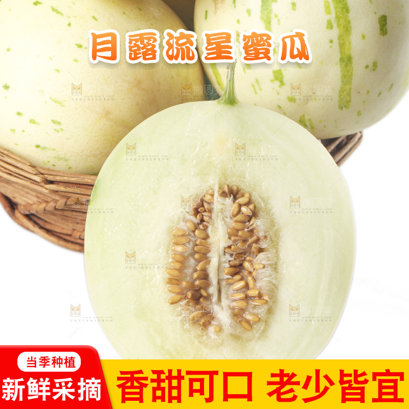 白底上的月露流星蜜瓜