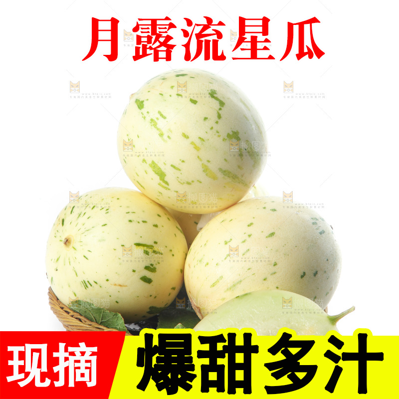 白底上的月露流星蜜瓜
