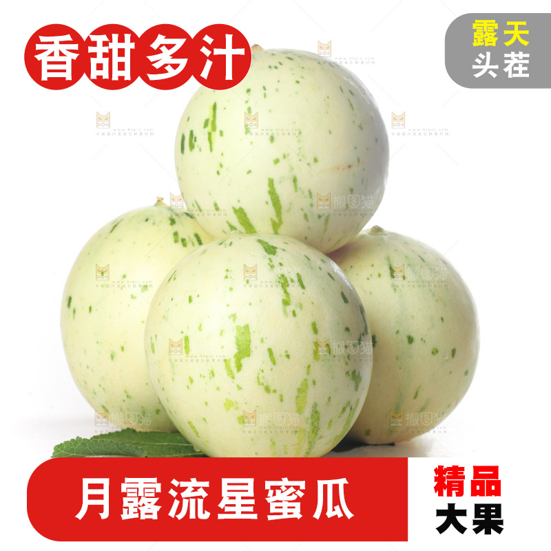 白底上的月露流星蜜瓜