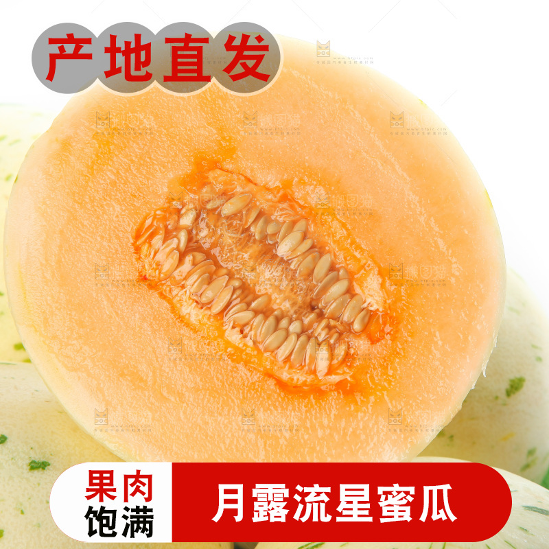 白底上的月露流星蜜瓜