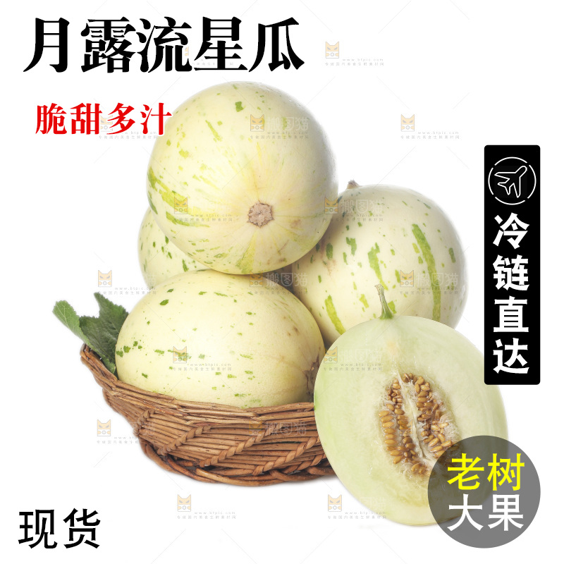 白底上的月露流星蜜瓜
