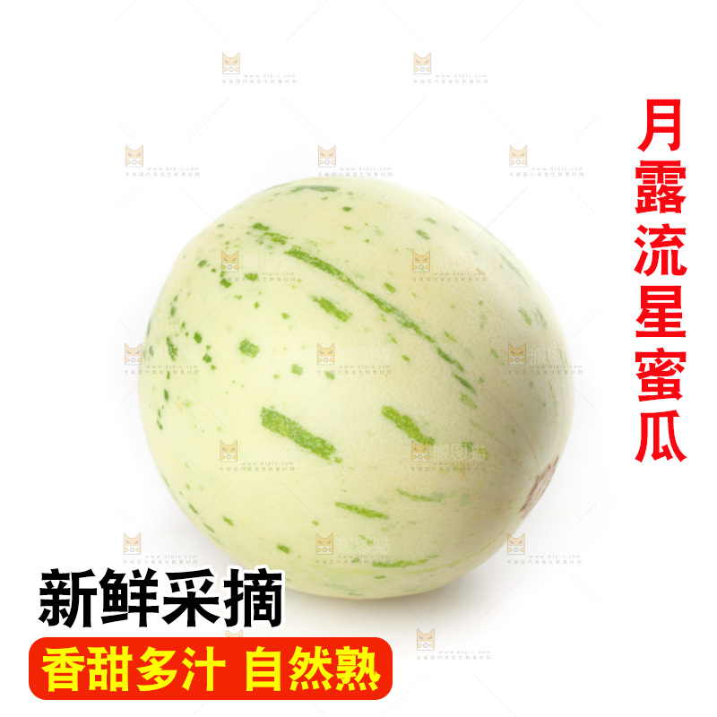 白底上的月露流星蜜瓜
