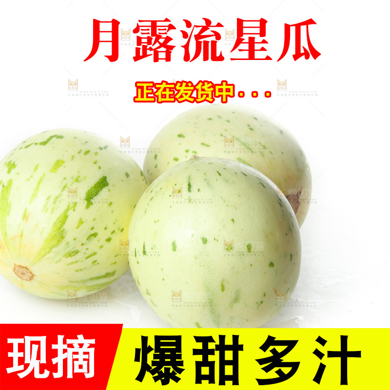 白底上的月露流星蜜瓜