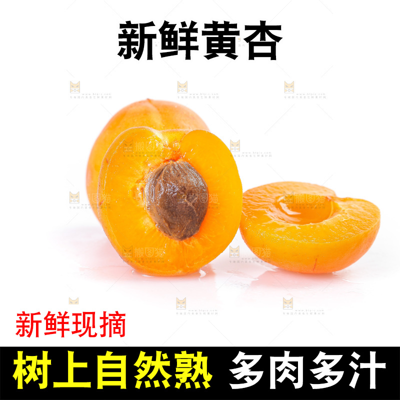 白底上的大黄杏