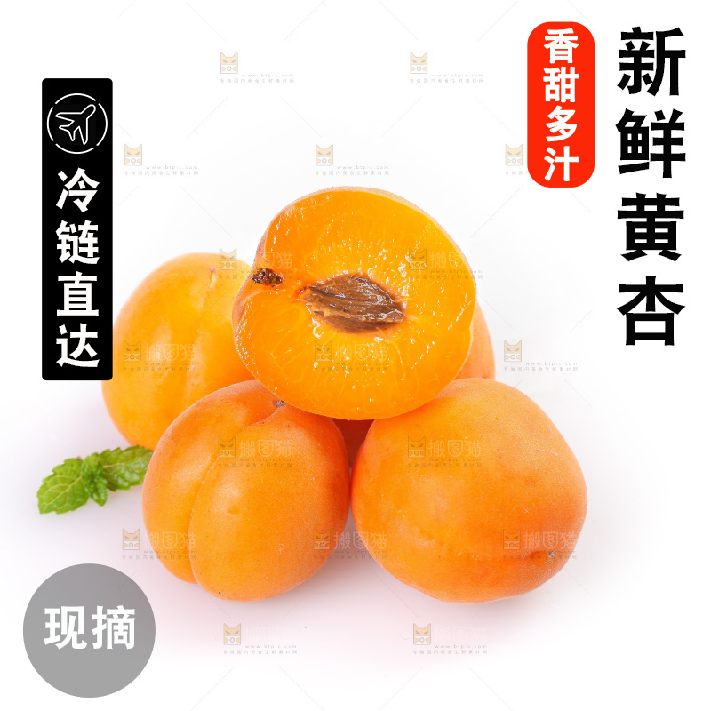 白底上的大黄杏