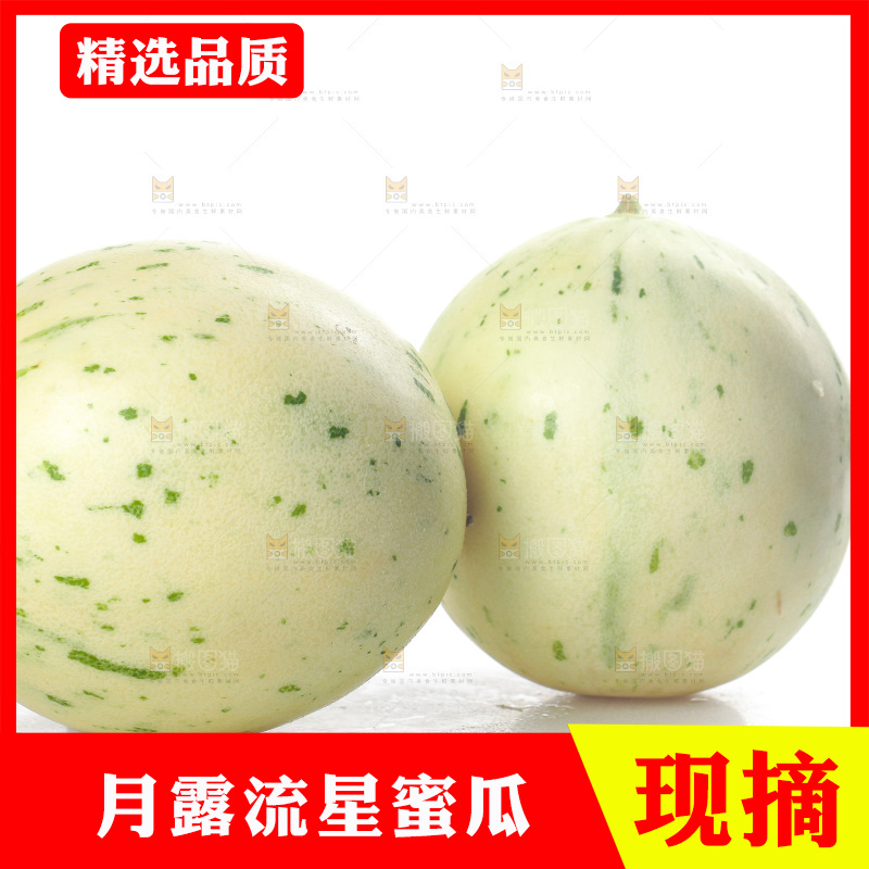 白底上的月露流星蜜瓜