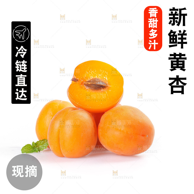 白底上的大黄杏