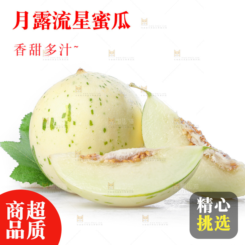 白底上的月露流星蜜瓜