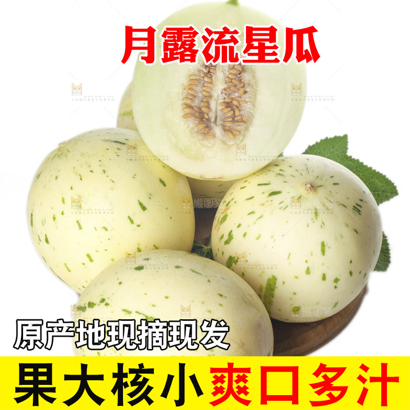 白底上的月露流星蜜瓜
