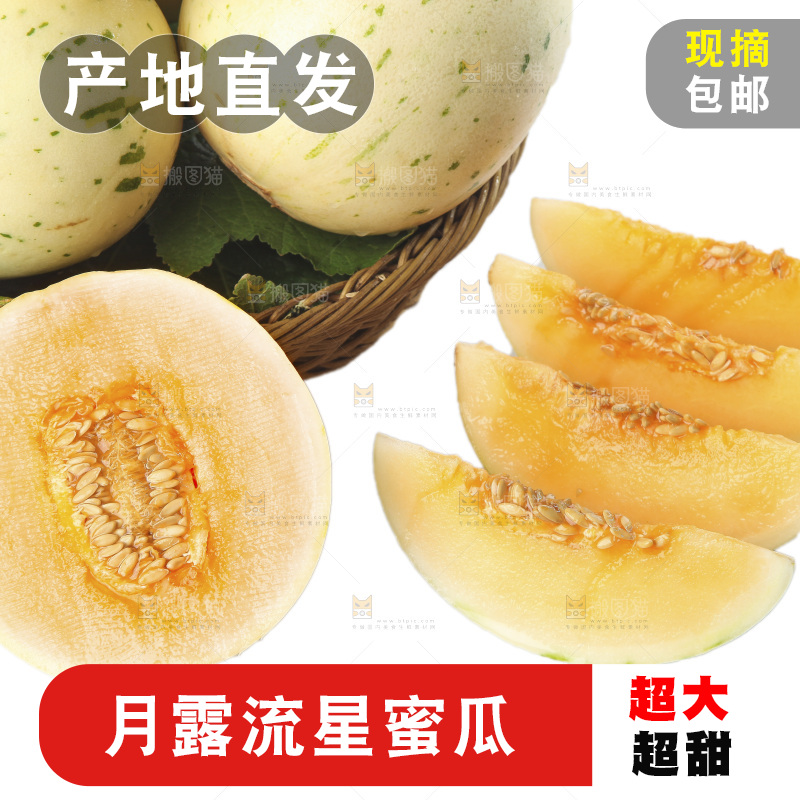 白底上的月露流星蜜瓜