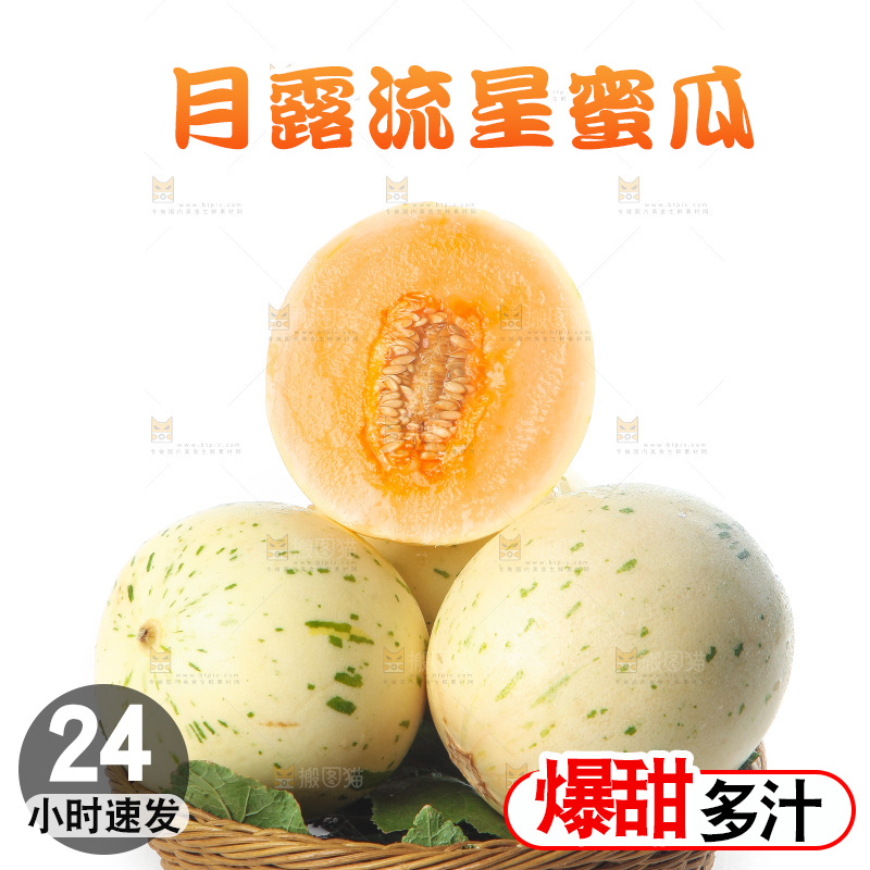白底上的月露流星蜜瓜