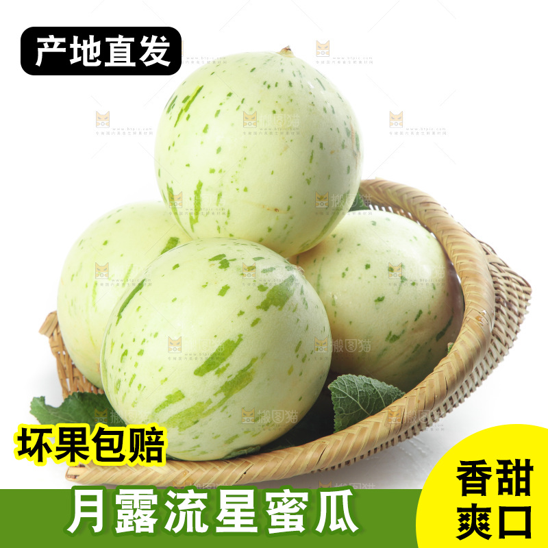 白底上的月露流星蜜瓜
