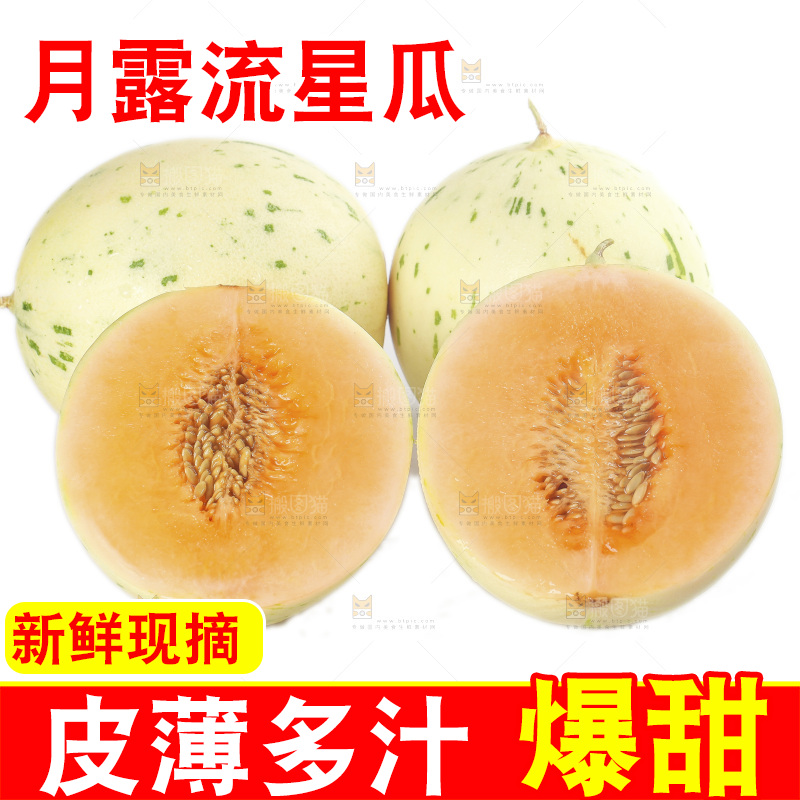 白底上的月露流星蜜瓜