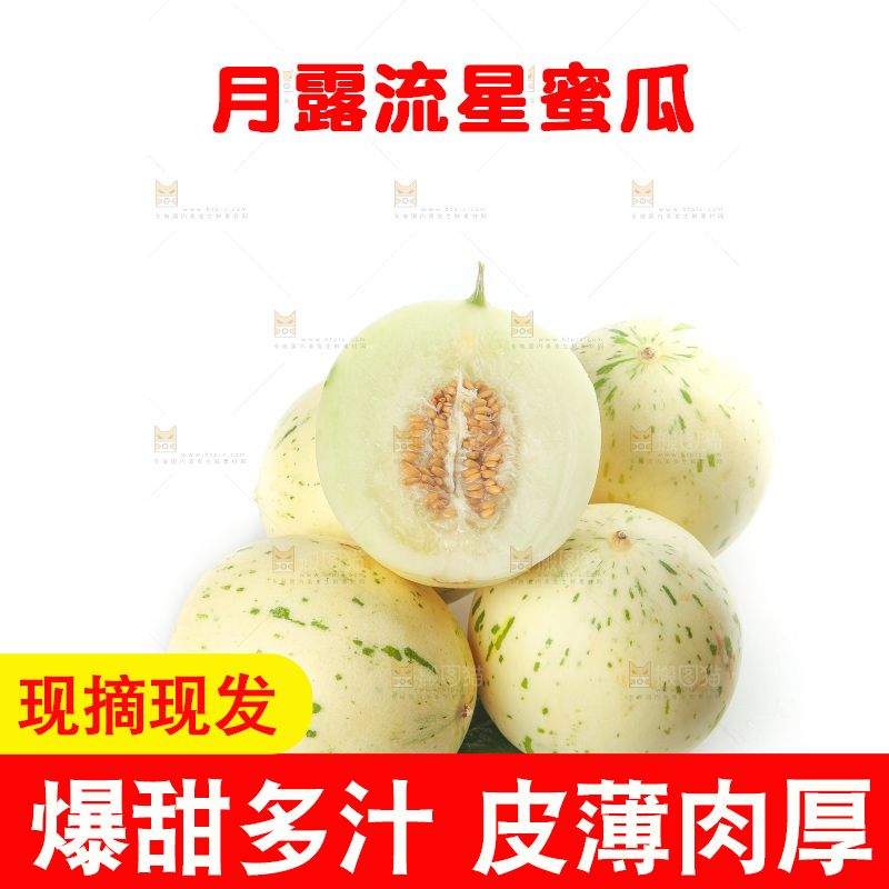 白底上的月露流星蜜瓜