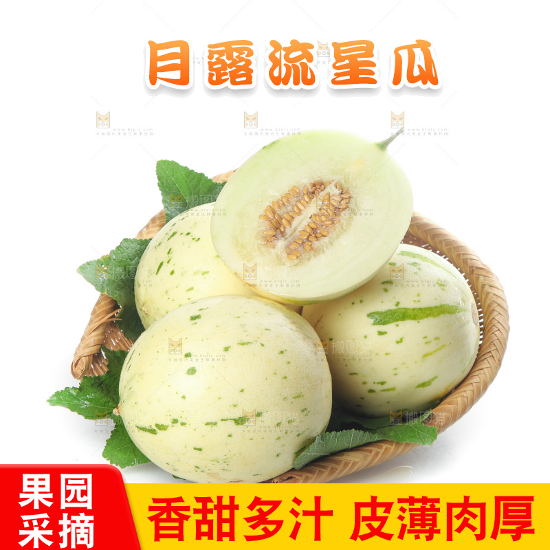 白底上的月露流星蜜瓜