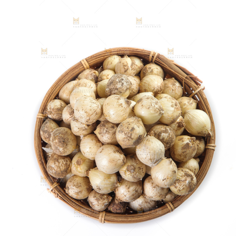 白底上的藠头籽