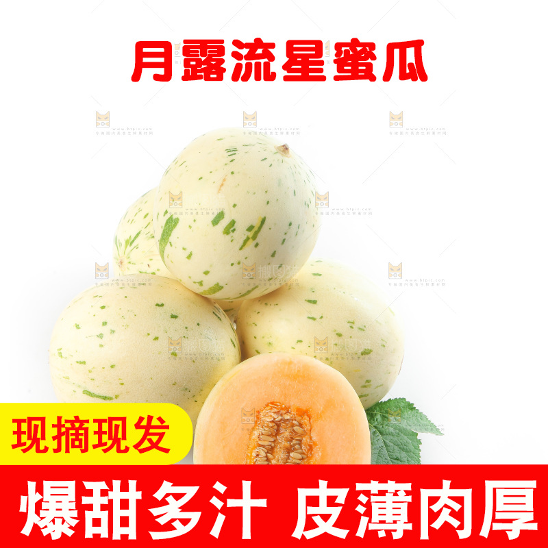 白底上的月露流星蜜瓜