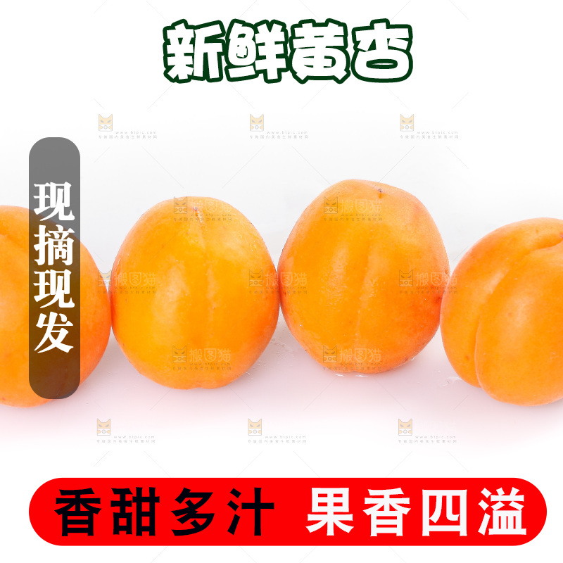 白底上的大黄杏