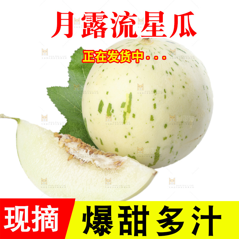 白底上的月露流星蜜瓜