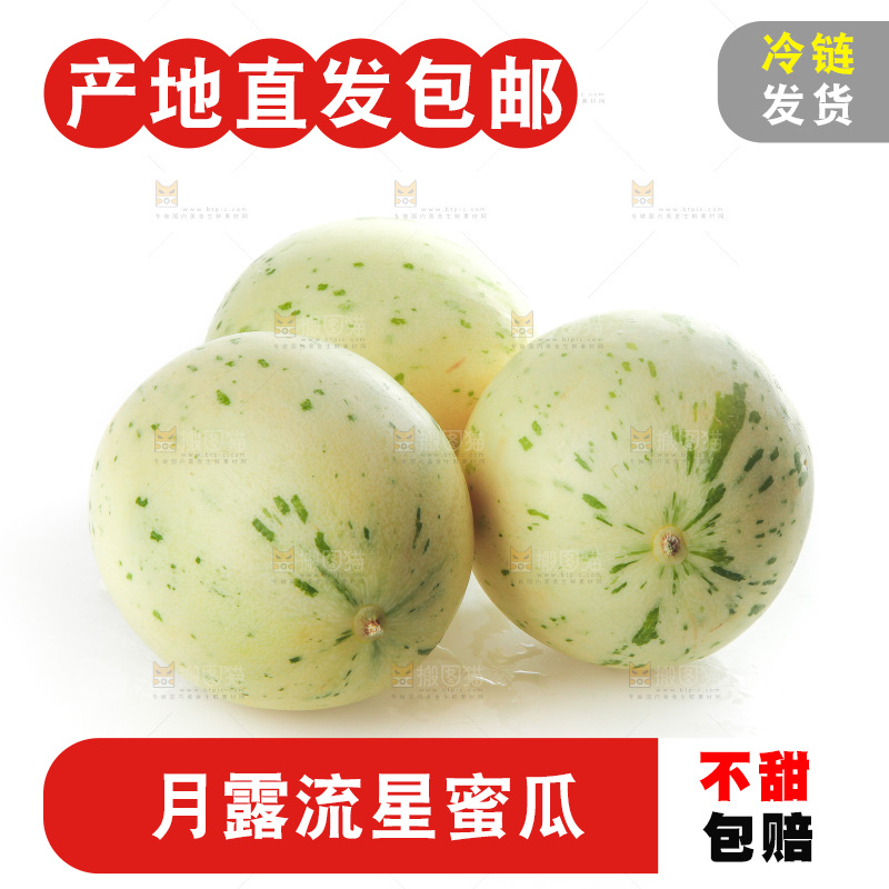 白底上的月露流星蜜瓜