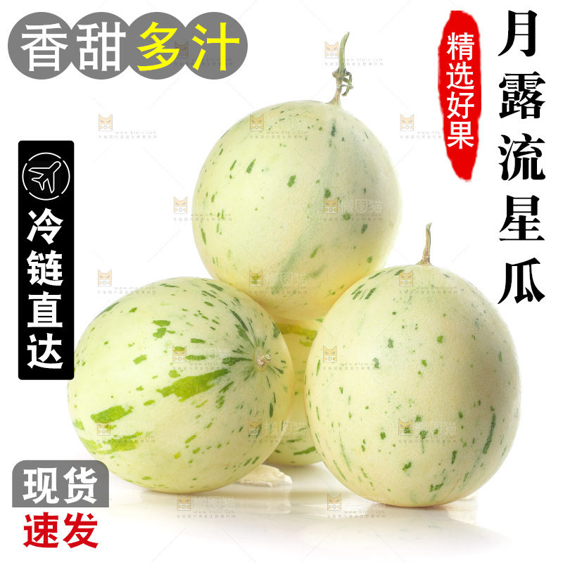 白底上的月露流星蜜瓜